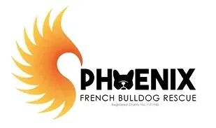 A logo for "Phoenix French Bulldog Rescue" with a stylized orange and yellow phoenix to the left. "PHOENIX" appears in bold black font, with a French bulldog face silhouette as the letter "O". "French Bulldog Rescue" is in smaller black font beneath.