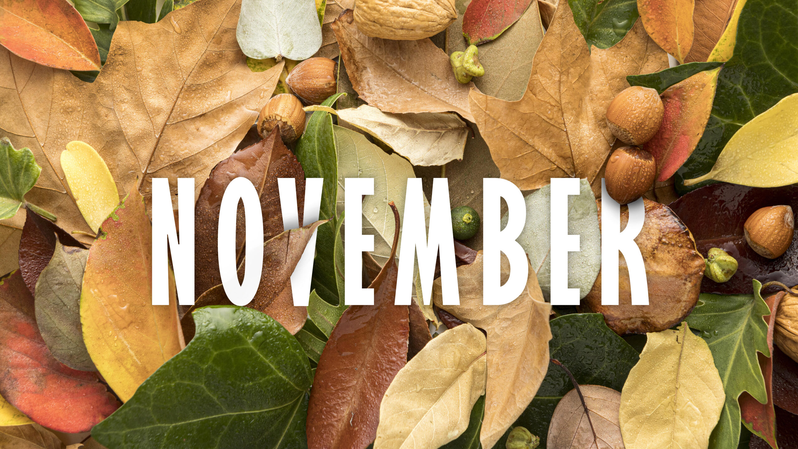 The word "November" in white on top of a background of autumnal leaves and nuts.