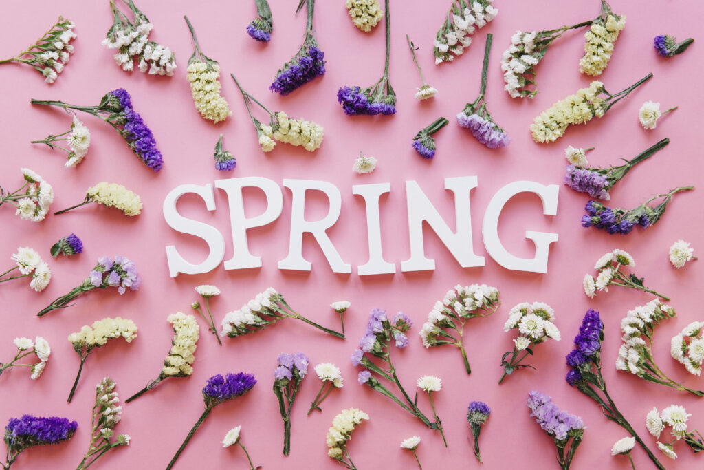 The word "SPRING" surrounded by pastel-colored flowers on a pink background.