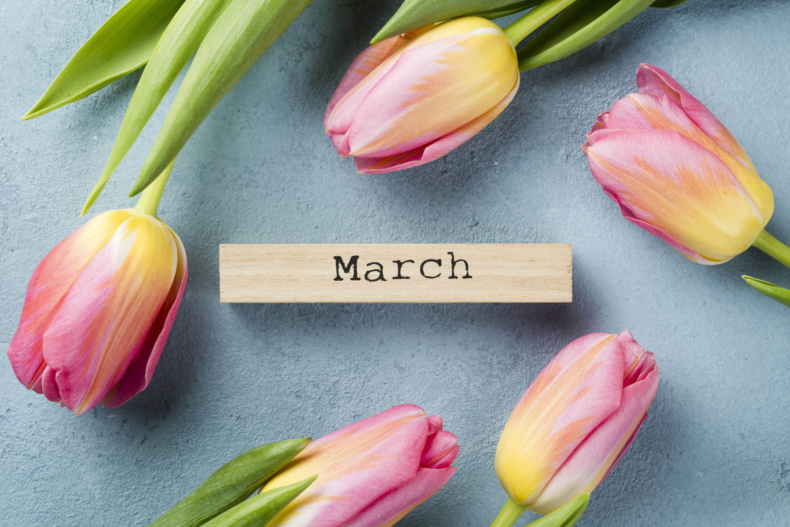 A frame of colorful tulips with a wooden tag reading "March"